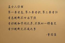 LOL赛事-黑马啸傲绿茵场，加纳铁骑踏碎匈牙利神话，费利克斯独舞铸就唯一王冠
