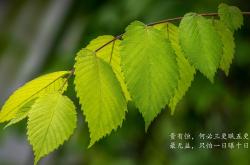 英雄联盟总决赛赛程-潘帕斯风暴席卷沙漠，德布劳内导演的唯一神迹，阿根廷用一场横扫定义2026世界杯终极悬念
