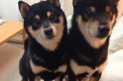 英雄联盟总决赛直播-绝境之战，智能球馆中的错位竞技