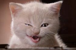 英雄联盟总决赛-冰冷的马刺为何屈服于天才手腕？哈登这一夜，刺穿了篮球最坚固的体系