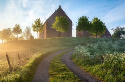 英雄联盟总决赛2025-当希腊怪兽空降东北，字母哥48小时拯救篮网之战