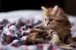 英雄联盟总决赛2025-平行时空的盗梦空间，当山西男篮在NBA总决赛全面压制勇士