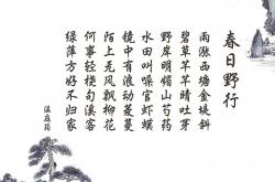 LOL赛事-跨越联赛的统治，拉文45分演绎新疆风暴如何全面压制马刺体系