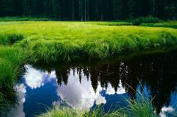 英雄联盟总决赛直播-跨越太平洋的篮球火种，当深圳队梦战独行侠，谁才是真正的大场面先生？