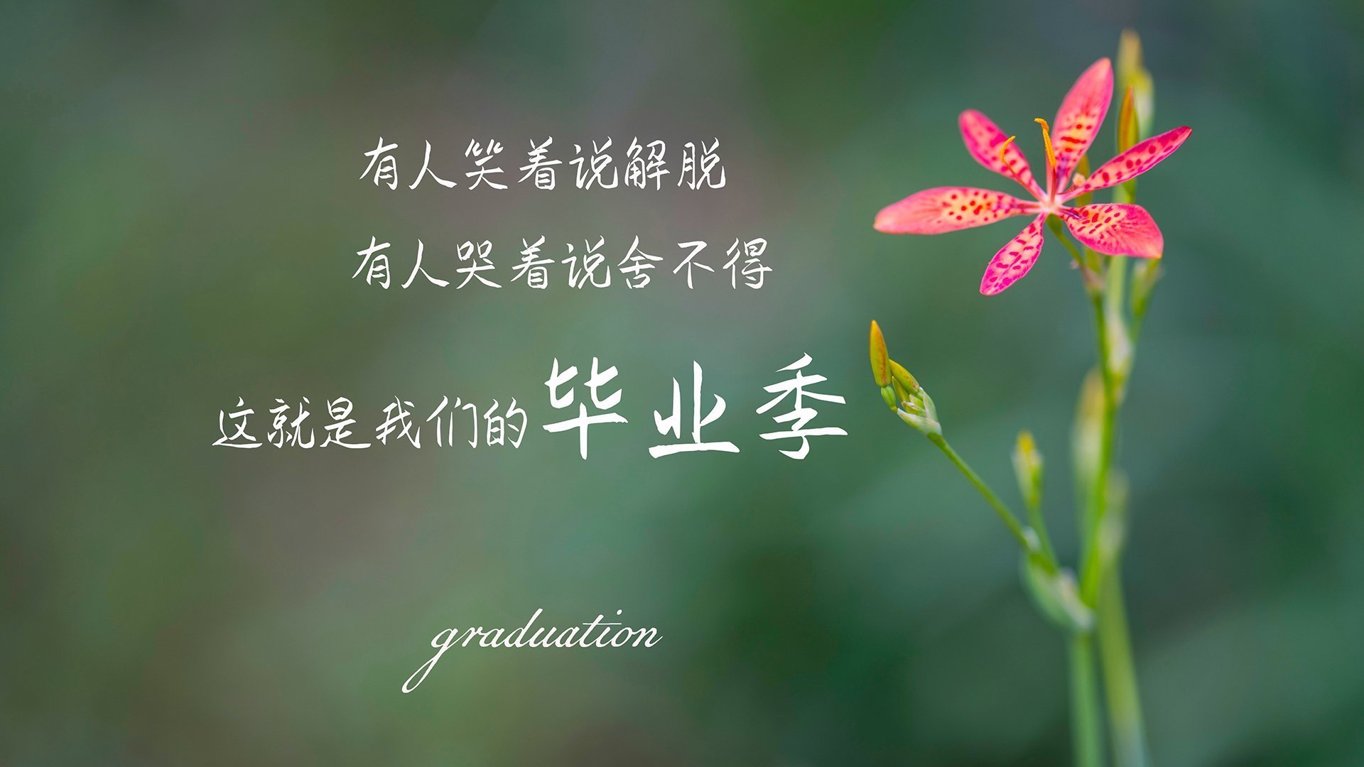 铁桶破洞,总决赛首战76人如何打穿联盟最强防守森林狼?