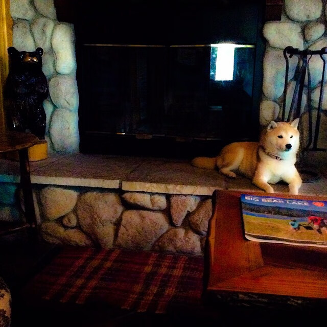 太阳三巨吞蜂，布伦森攻防一体统治全场