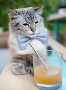 冰封之矛对决沙漠之舞,挪威战术封锁如何塑造年度足球焦点战