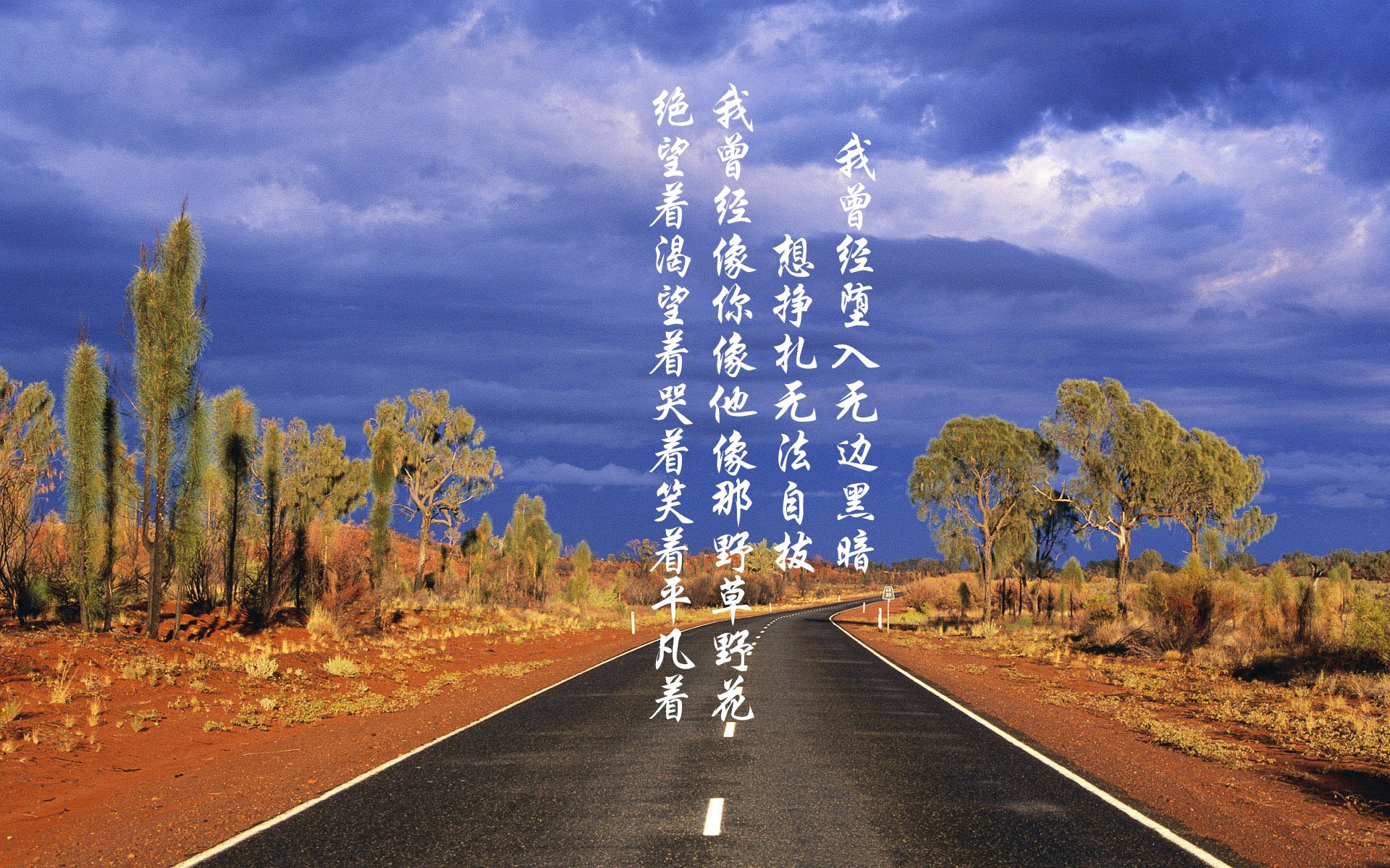 双星闪耀，从C罗的领袖风范到希腊篮球的团队爆发—论体育竞技中的决定性时刻