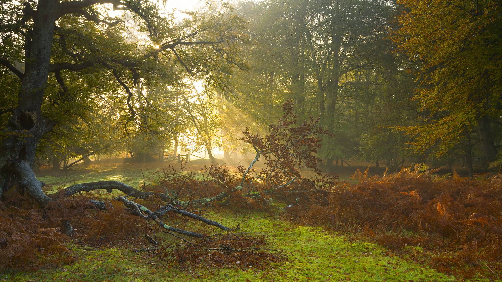 当科技与原始血性碰撞,伦纳德如何用一场比赛定义未来足球的终极矛盾