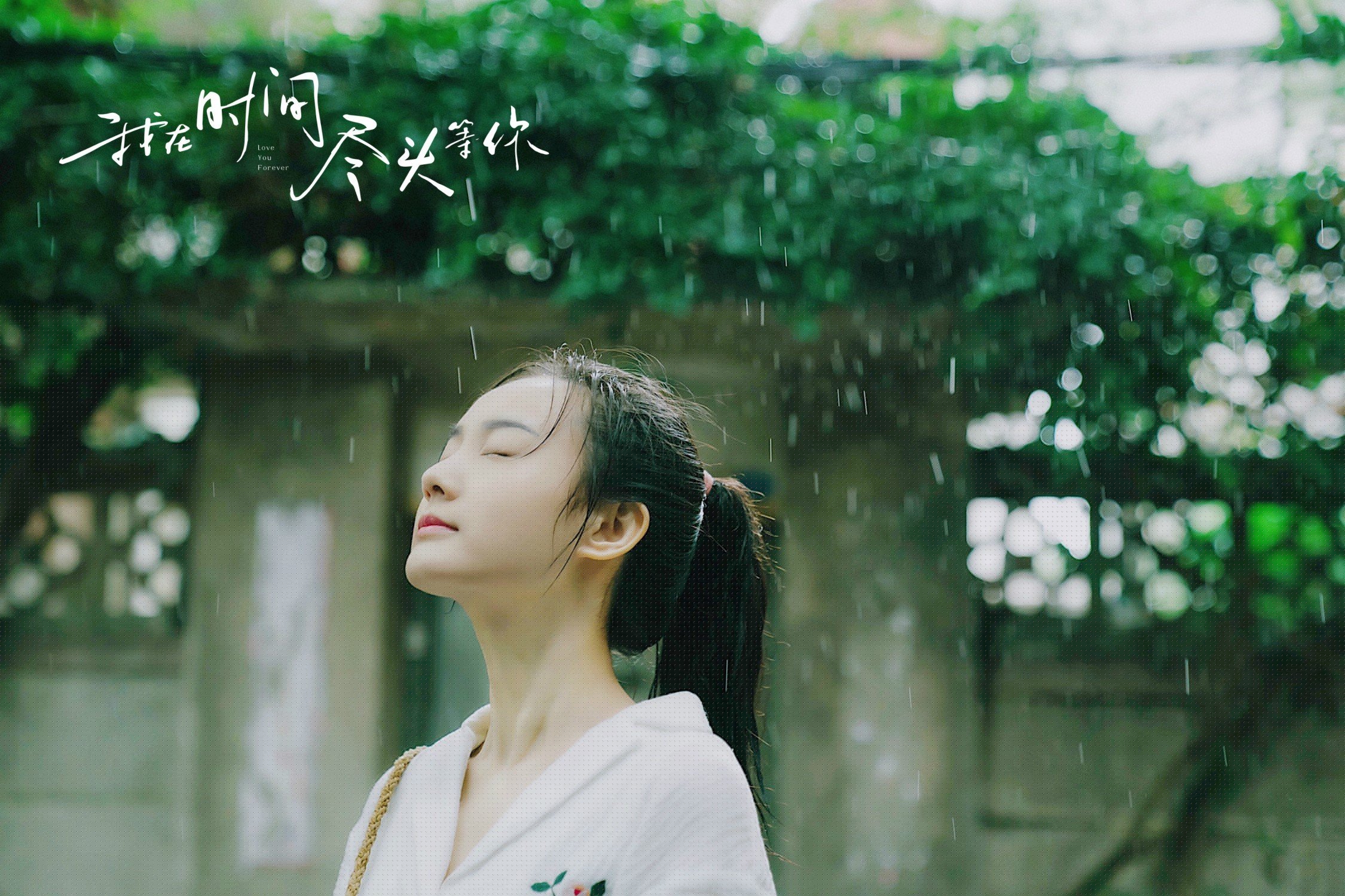 东方破晓与北欧风暴，体育世界的平行叙事