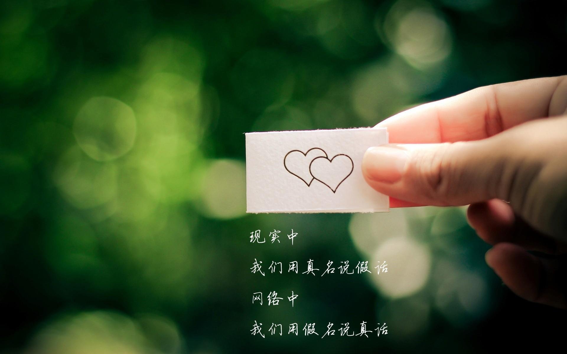 双城记,迈阿密的星火与华盛顿的潮汐—排名争夺战中的篮球哲学碰撞