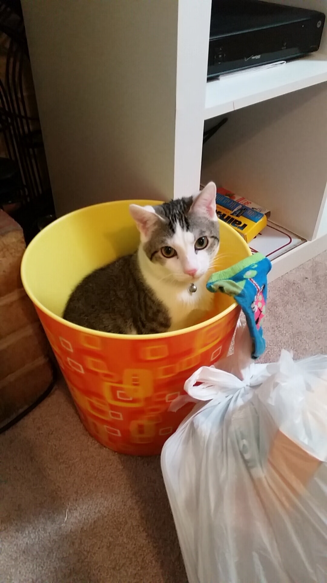 维度跳跃者，当深圳踏碎奥兰多之夜，爱德华兹撕开欧冠时空