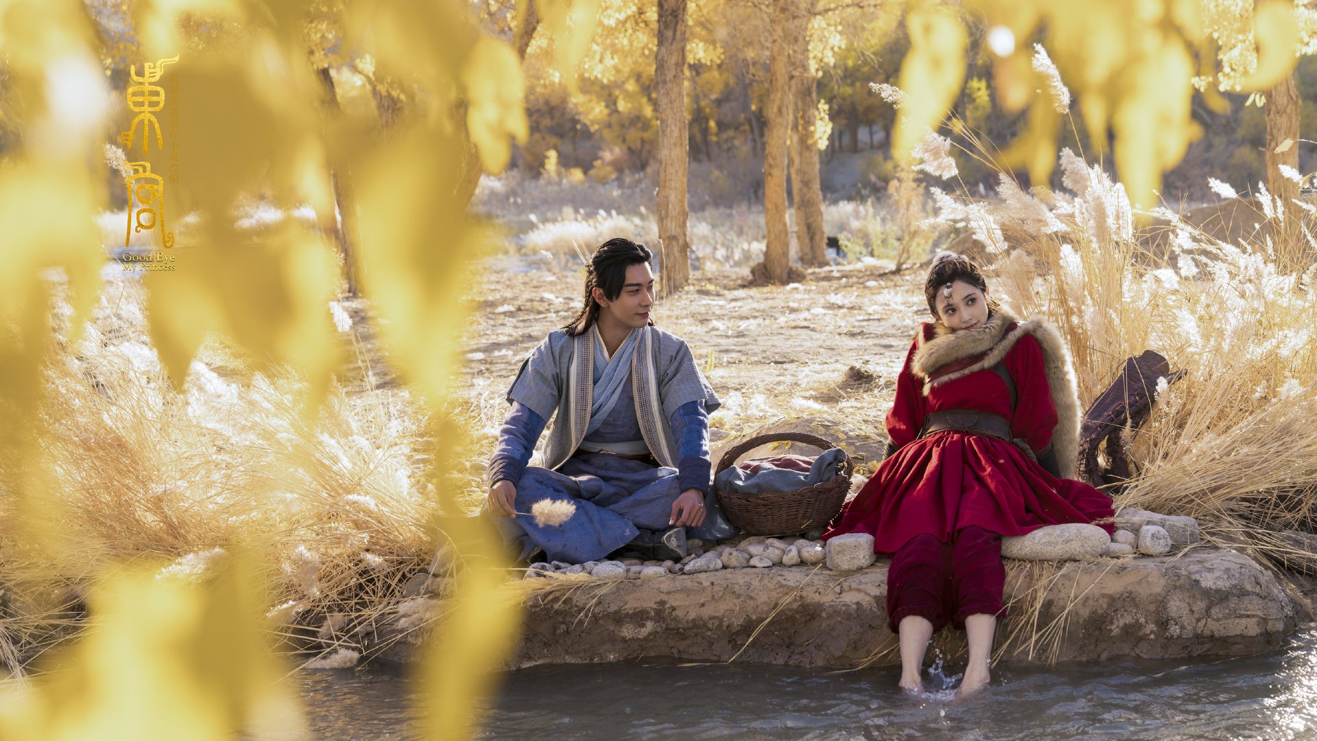 绿茵铁幕,爱尔兰战术奇袭伊朗,久保建英的防守艺术