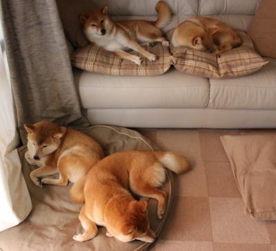 跨界传奇,李刚仁NBA总决赛接管比赛,那不勒斯足球场全面压制丹麦