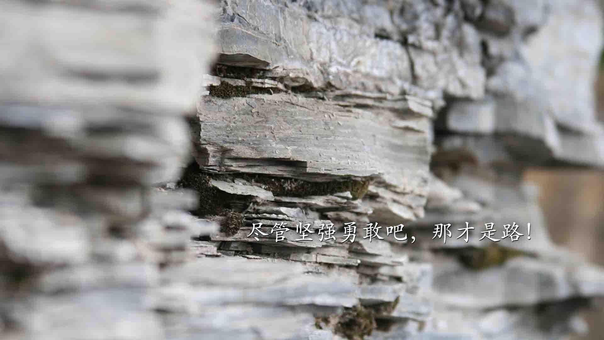 班凯罗末节风暴主宰关键节点,雄鹿生死战险胜广厦队