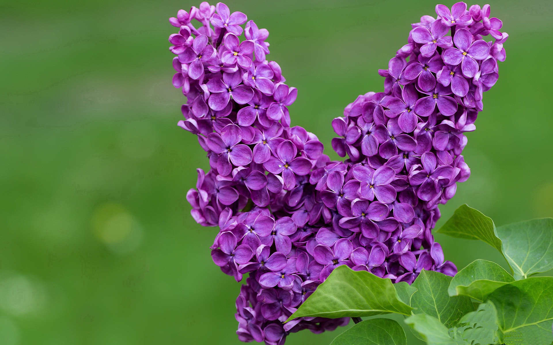 青春碾过传奇,姆巴佩的封神之夜与南美足球的黄昏