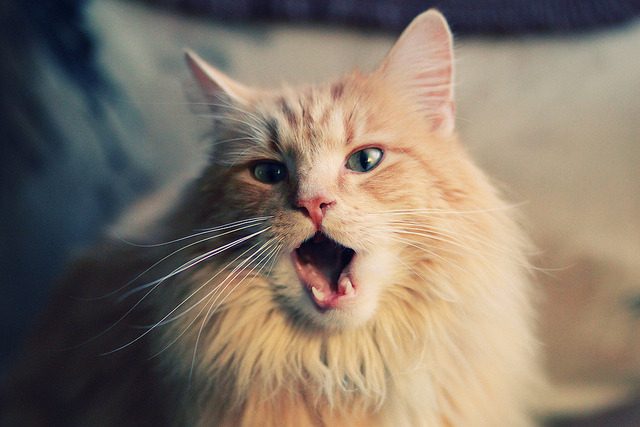 铁血团队碾压巨无霸，孤胆英雄终结悬念，足球世界两极的终极答案