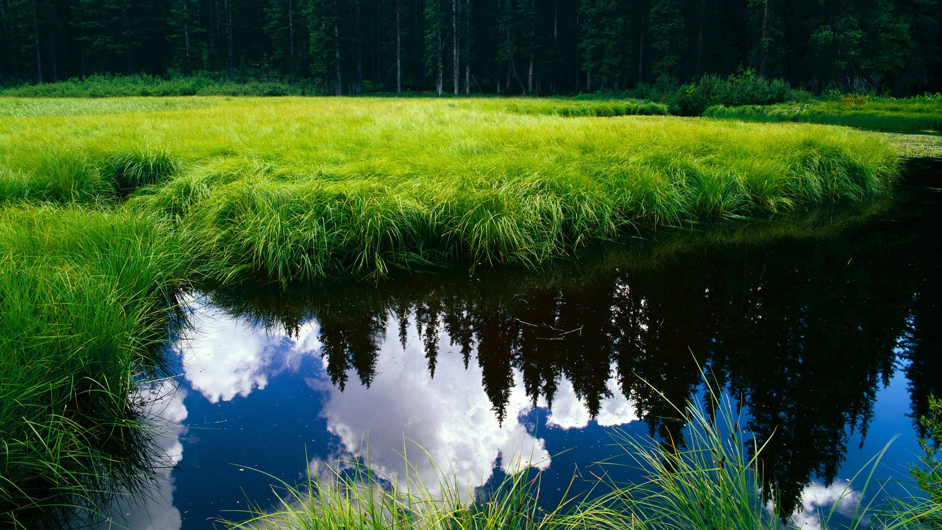 跨越太平洋的篮球火种，当深圳队梦战独行侠，谁才是真正的大场面先生？