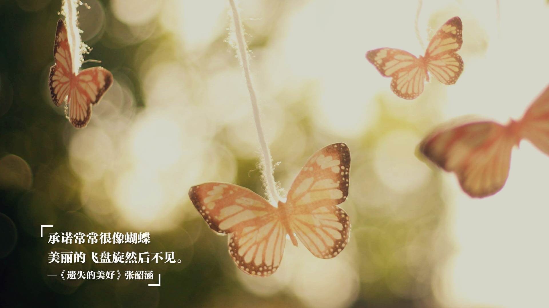 绿茵孤本,当贝林厄姆的锋芒刺破南美防线,尼日利亚在2026世界杯写下不可复制的A组史诗