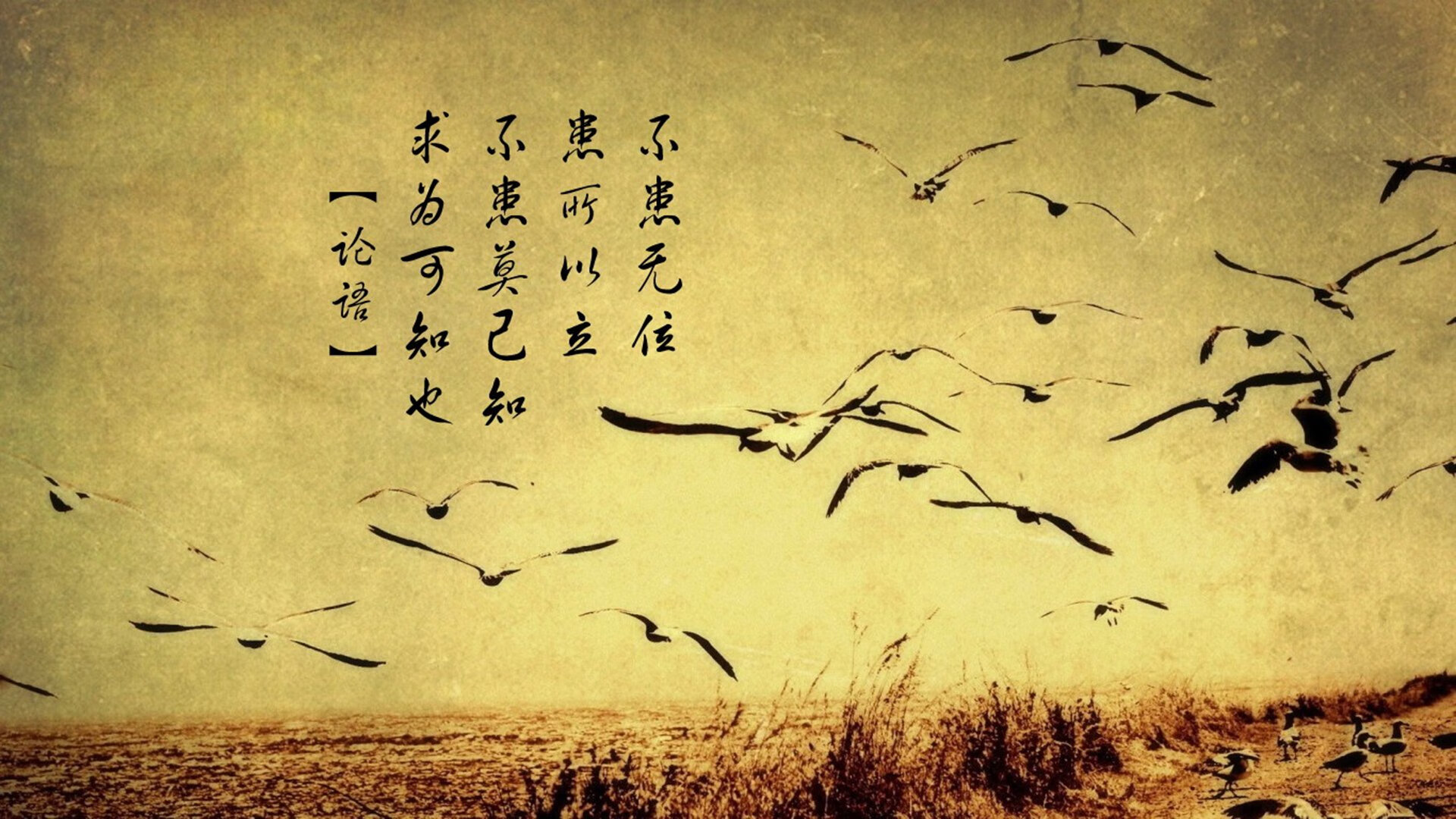 哥本哈根的黄昏，当费利克斯撕碎高卢雄鸡的黄昏梦
